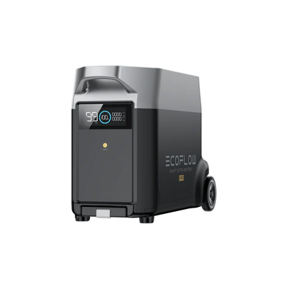 Delta Pro Extra Battery | DELTA Pro Extra Battery |Traverse Generators